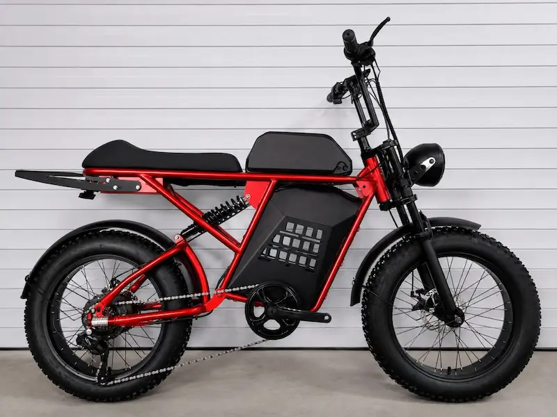 Yoyodis electric bike with a passenger seat
